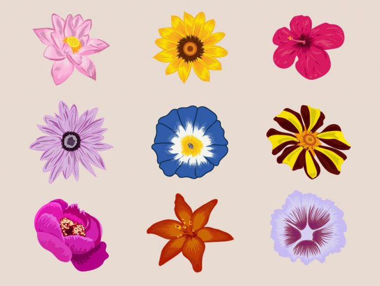 Free Flowers Vector Download