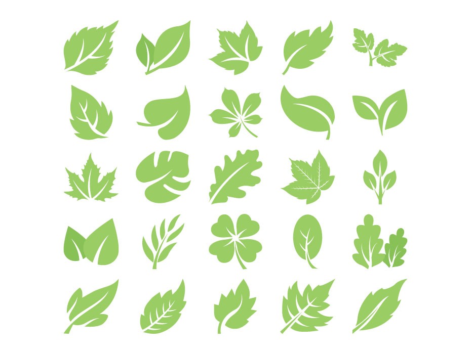 Leaves icon. Лист иконка. Векторный лист дерева. Векторные листья. Лист логотип.