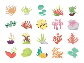 Coral Reef Flat Icons