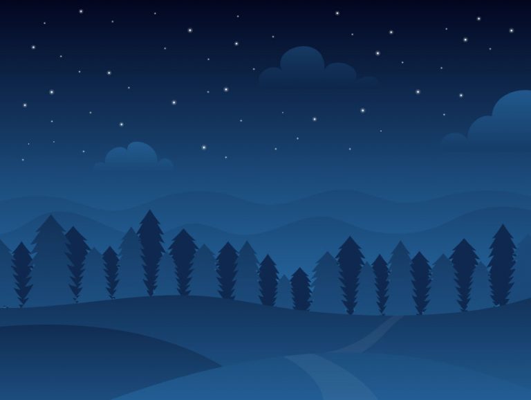 Night Scene Illustration