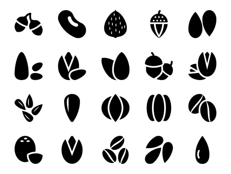Nuts Icon