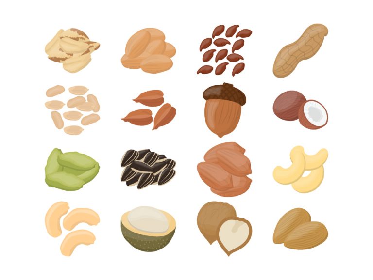 Nuts Icon Vector