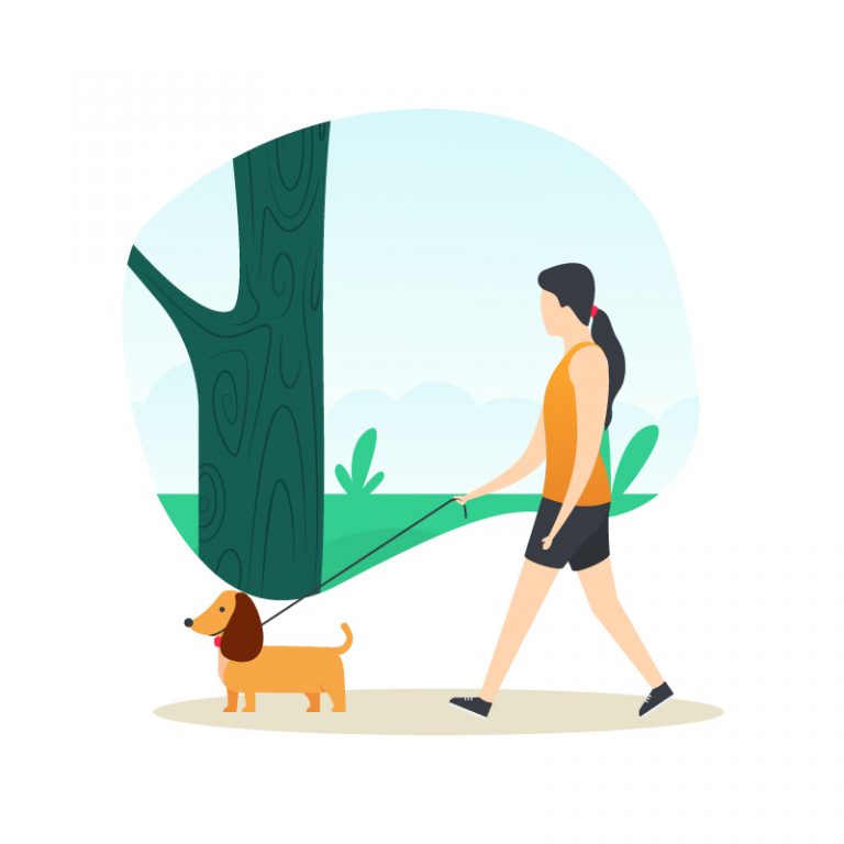 Pet Walk Illustration