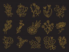 Pack of Floral Elements