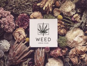Cannabis Free Vector Logo Template