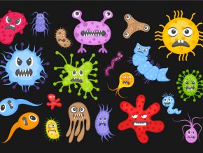 Bacteria and Microorganism Free Vectors