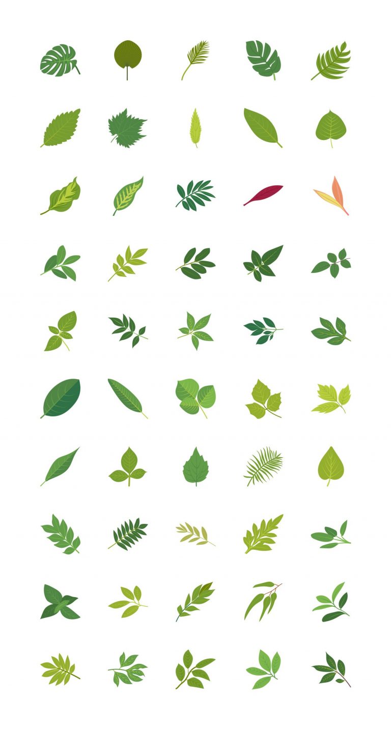 Tropical Leaves Vector Download