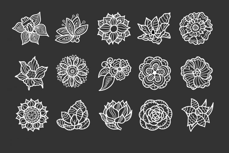 Flowers and Floral Vector Download