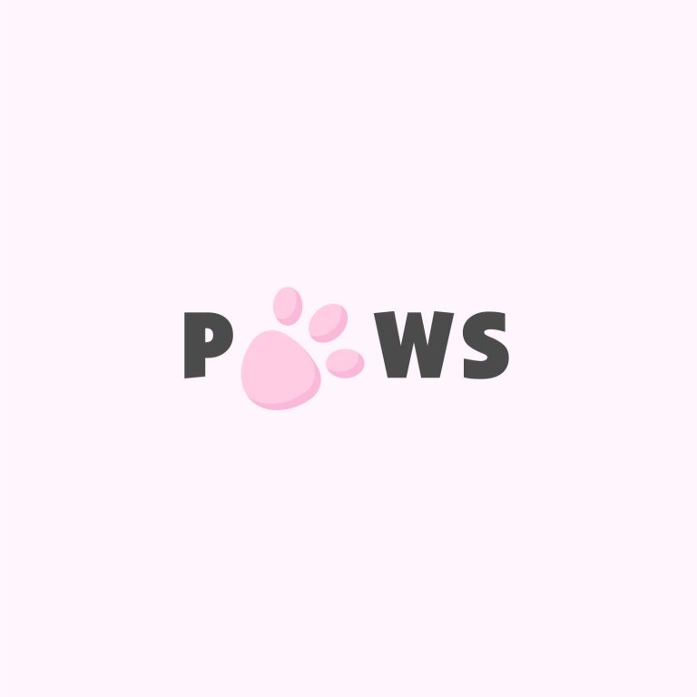 Free Paw Logo