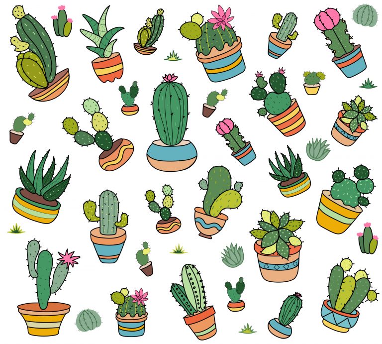 Cactus Plants Free Download