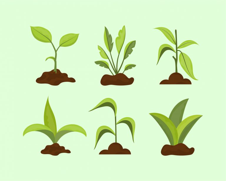 Sapling Plants Vector Download