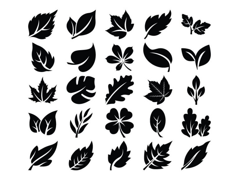 Leaves Icons