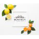 Monarca Logo Vector Free Download