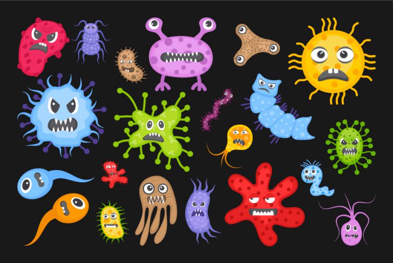 Bacteria and Microorganism Free Vectors