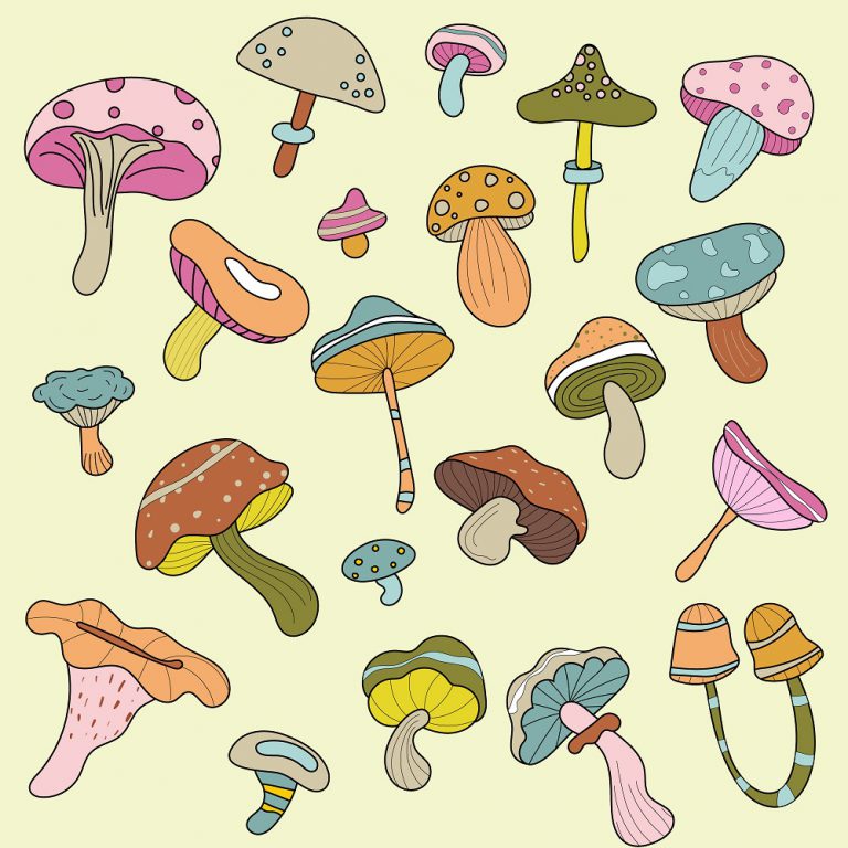 Mushroom Doodle Vectors Download
